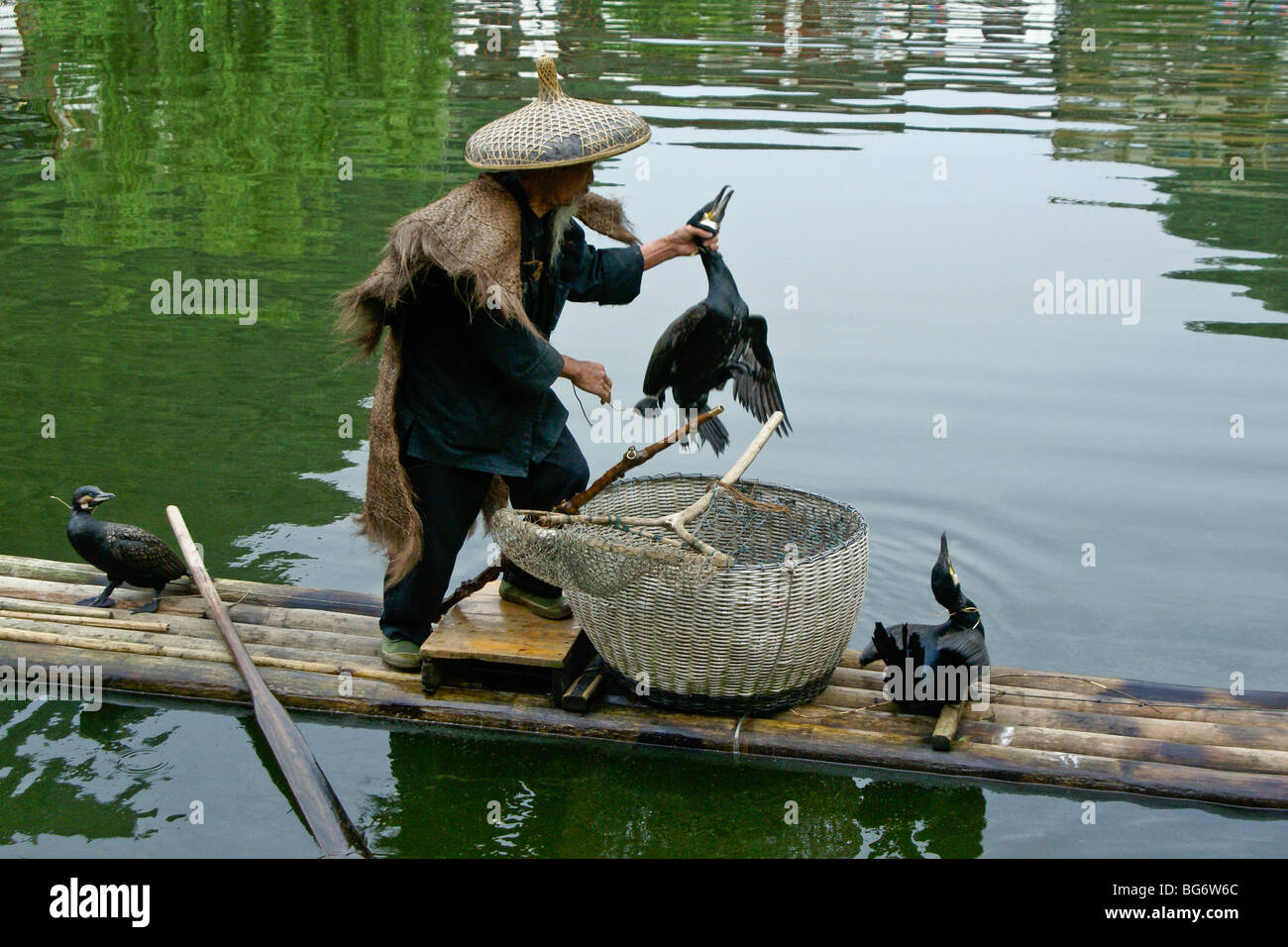 Cormorant fisherman, Yangshuo, Guangxi, China Stock Photo Alamy