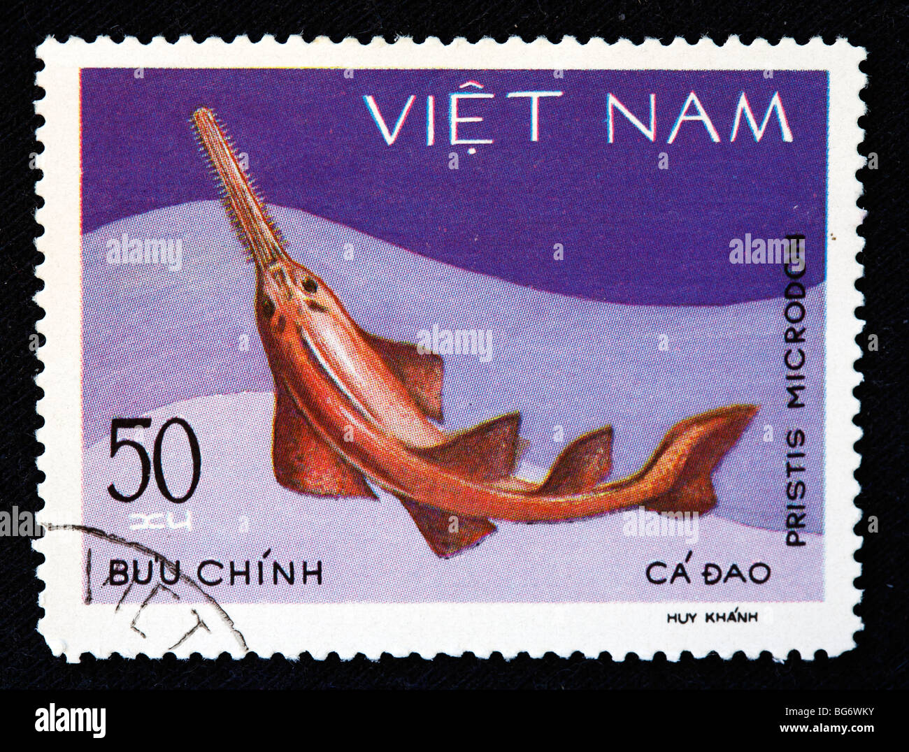 Largetooth sawfish (Pristis microdon), postage stamp, Vietnam Stock Photo