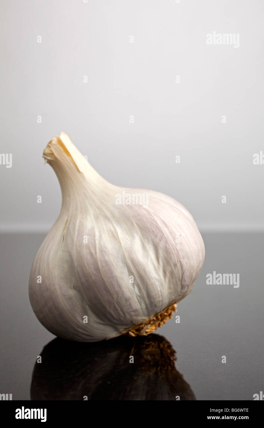 A single garlic Stock Photo