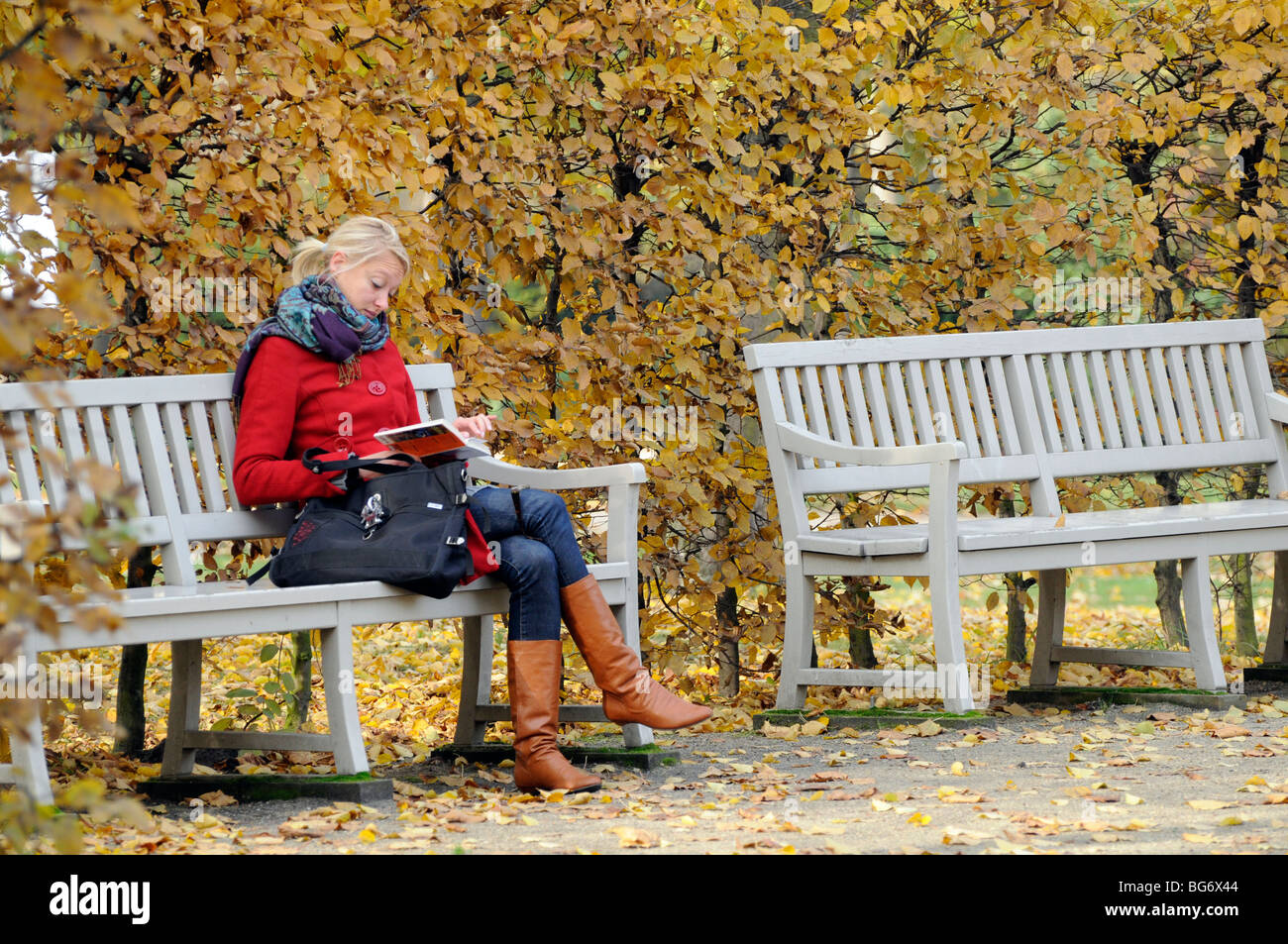 Woman reading book on park bench in autumn, Berlin, Germany. Stock Photo