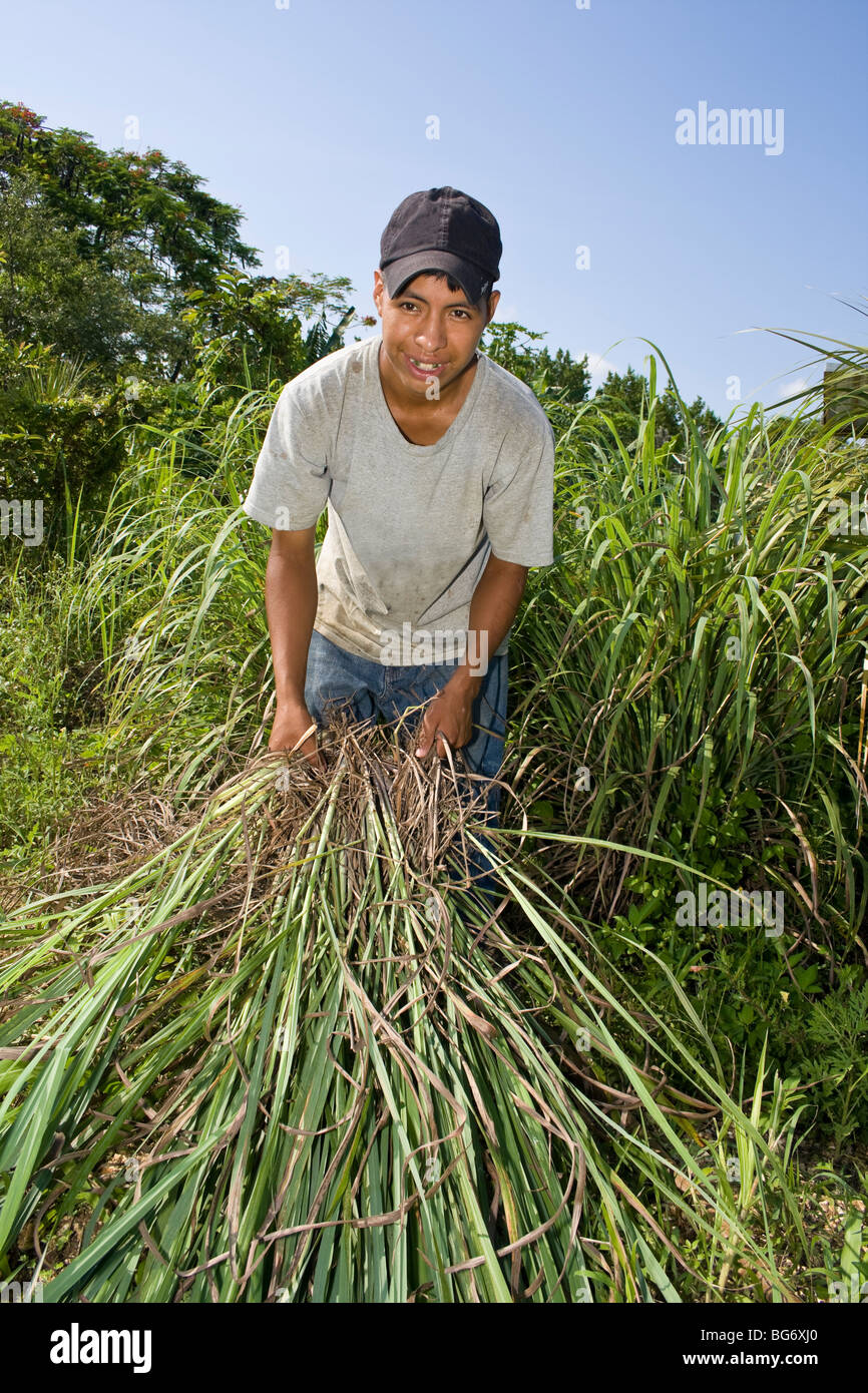 Homestead redland florida hires stock photography and images Alamy