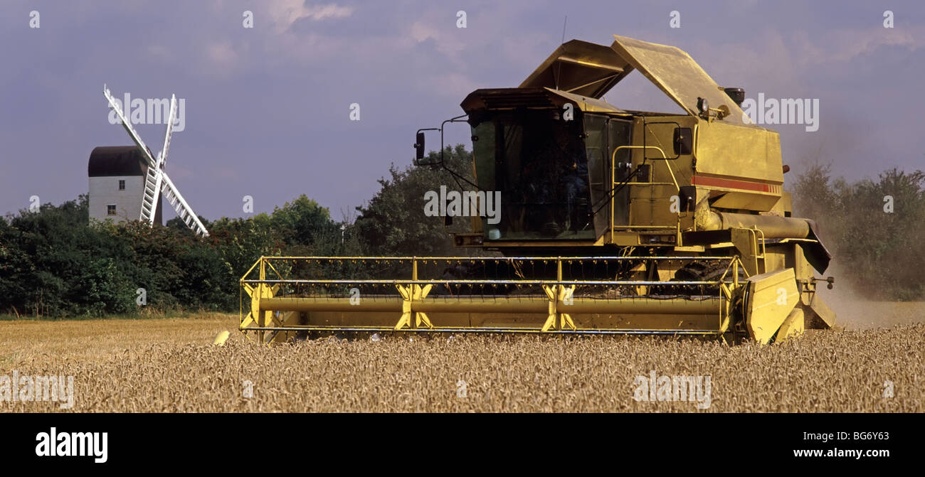 Old Combine Harvester Threshing Wheat Hi res Stock Photography And old-combine-harvester-threshing-wheat-hi-res-stock-photography-and