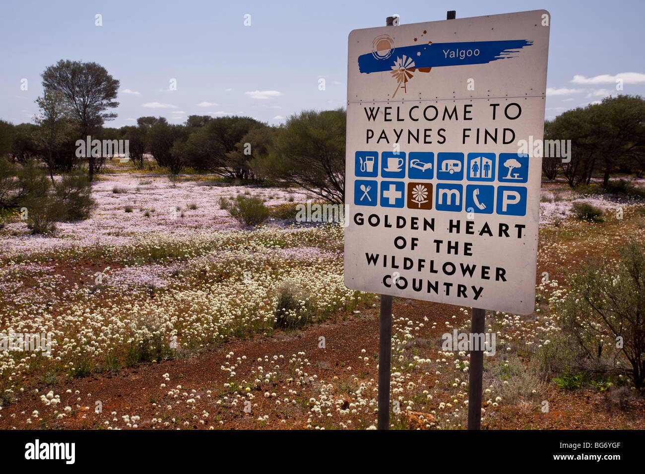 Welcome notice at Payne's Find, with Pink Velleia, Velleia rosea, Western Australia. Stock Photo