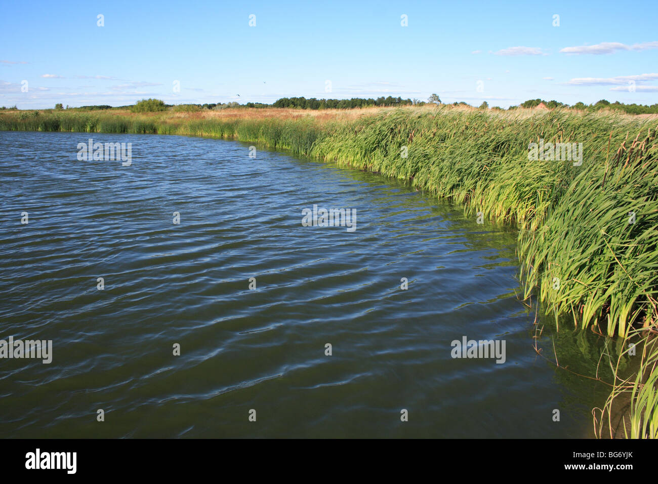 Baltic seas hires stock photography and images Alamy