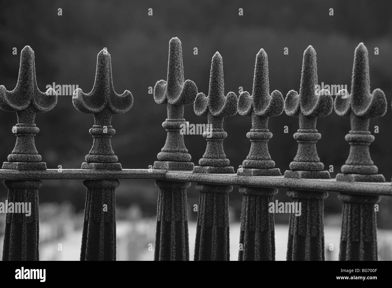 Frosty black iron railings in the depth of winter Stock Photo