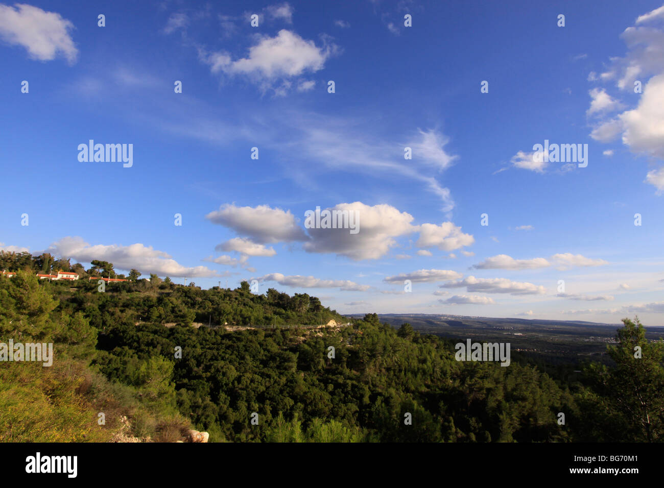 Israel, Upper Galilee, Kibbutz Hanita overlooking Hanita Forest Stock