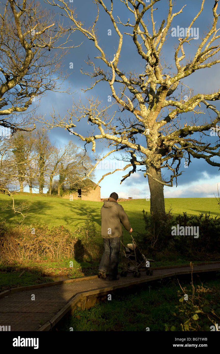 Occombe Farm is an organic farm in Paignton,South Devon,a young father pushes a pushchair around a 2km easy-access nature trail Stock Photo