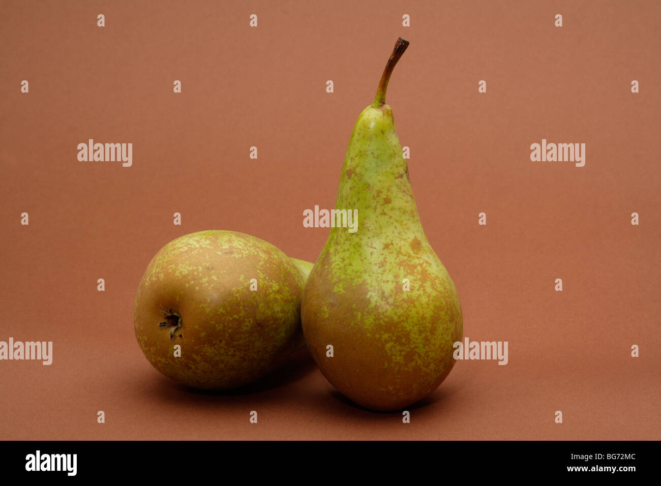 English Conference Pears Stock Photo Alamy