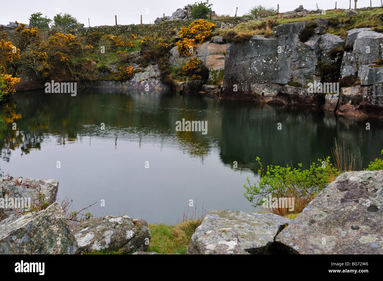 Gold Diggings Quarry Bodmin Moor Stock Photo - Alamy