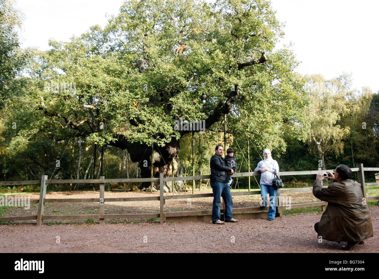 Sherwood Forest. Visitors to the Major Oak. A pendunculate Oak, Quercus robur. Arguably the most