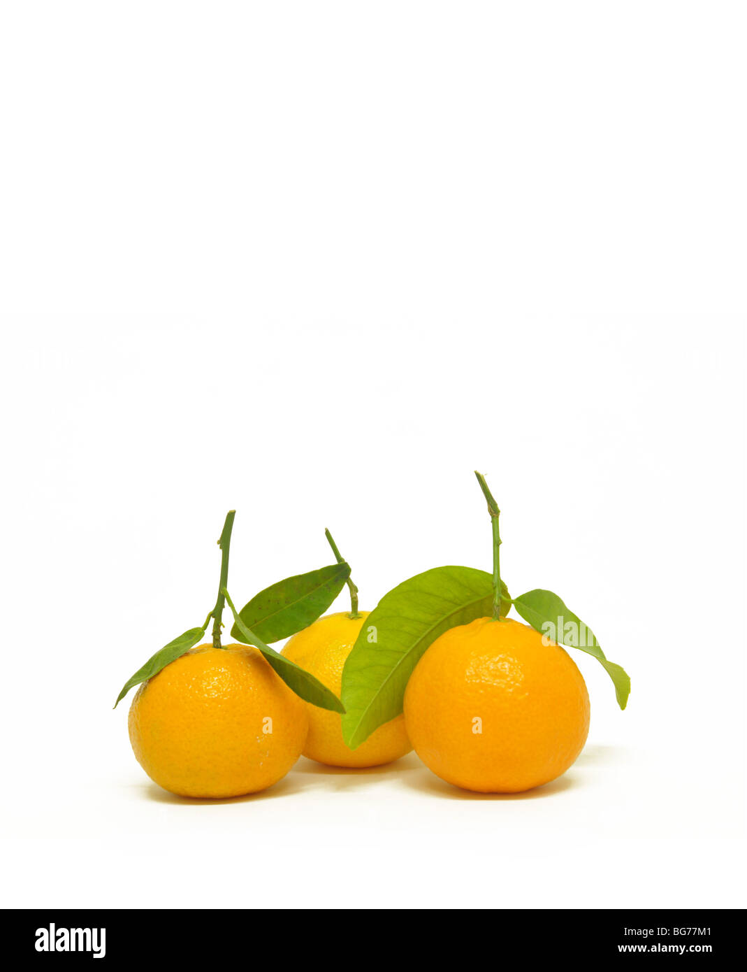 Cutout of three oranges with their stalks and leaves. Stock Photo