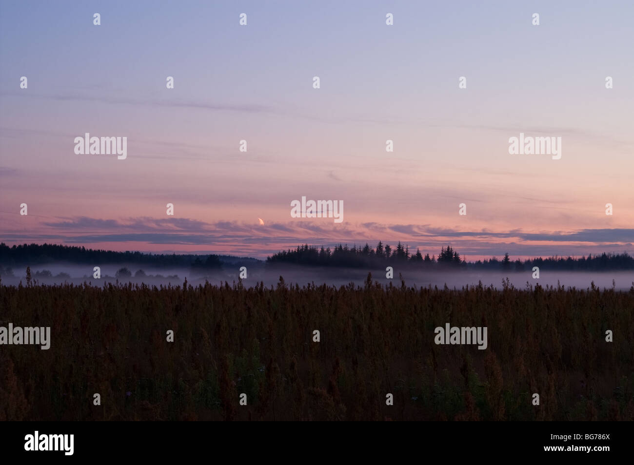 Moon meadows fields hi-res stock photography and images - Alamy