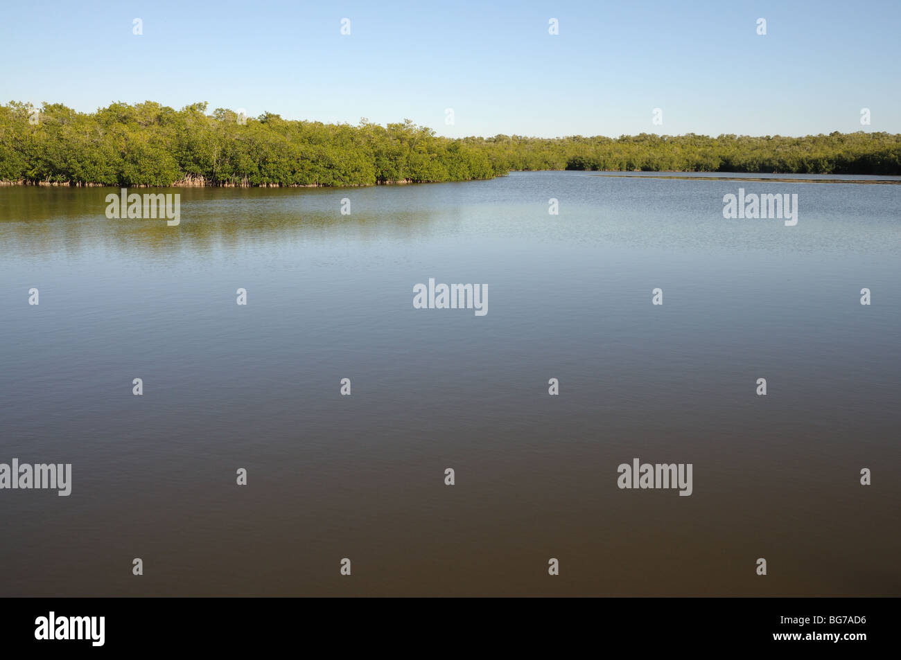 Lake in the Everglades National Park, Florida USA Stock Photo