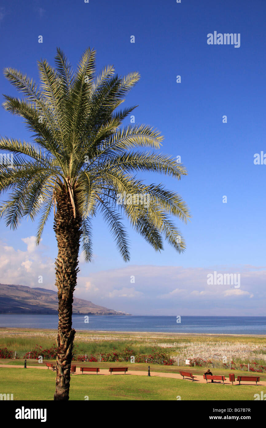 Israel, A view of the Sea of Galilee from Bet Gabriel Stock Photo