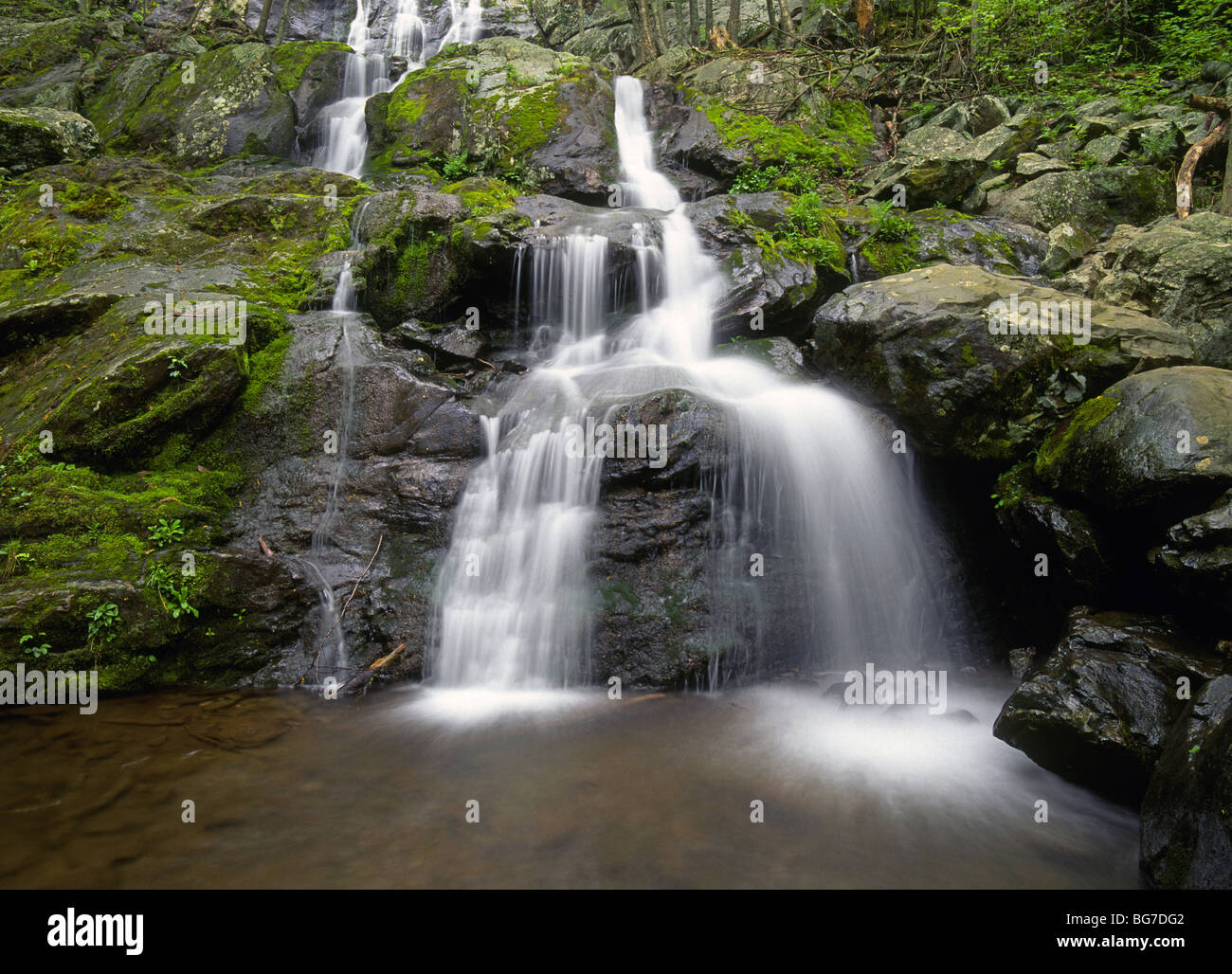 A beautiful waterfall in a hardwood forest in Shenandoah National Park in Virginia Stock Photo