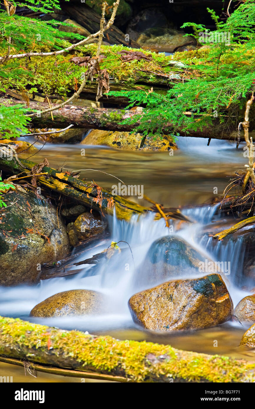 Rocks in the creek hi-res stock photography and images - Alamy