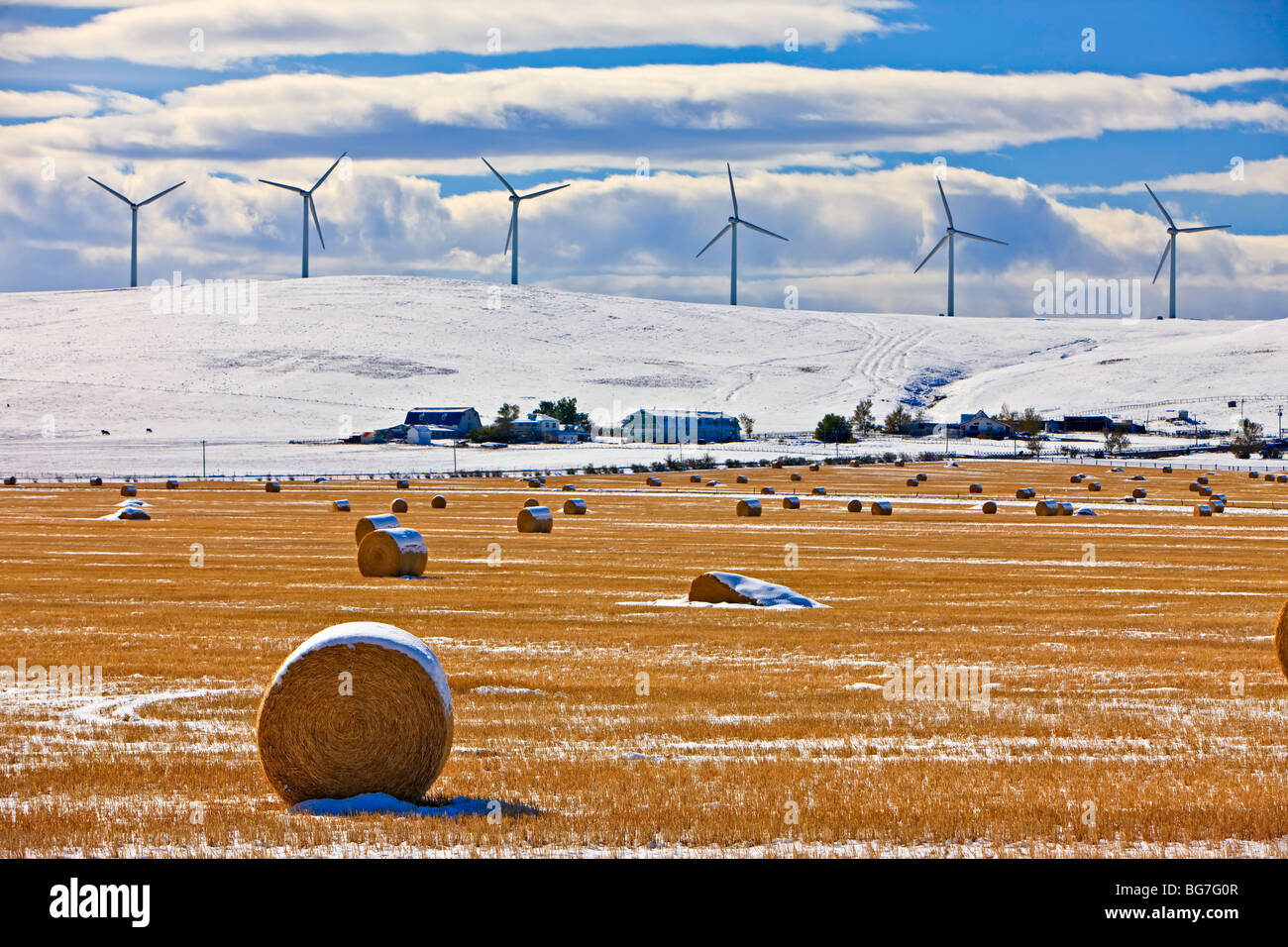 Hay bales covered in snow backdropped by windmills in Southern Alberta, Canada. Stock Photo