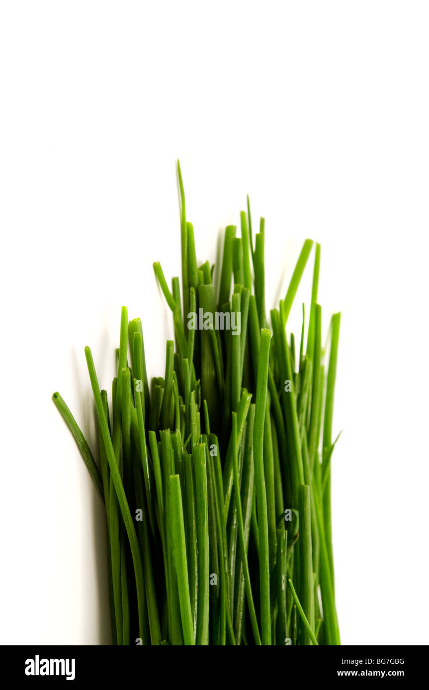 Bunch of chives on a white background Stock Photo