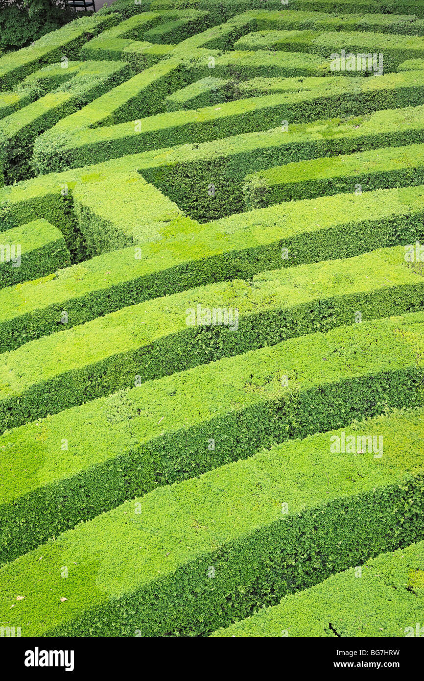 Maze, baroque Villa Pisani, Stra, Veneto, Italy Stock Photo