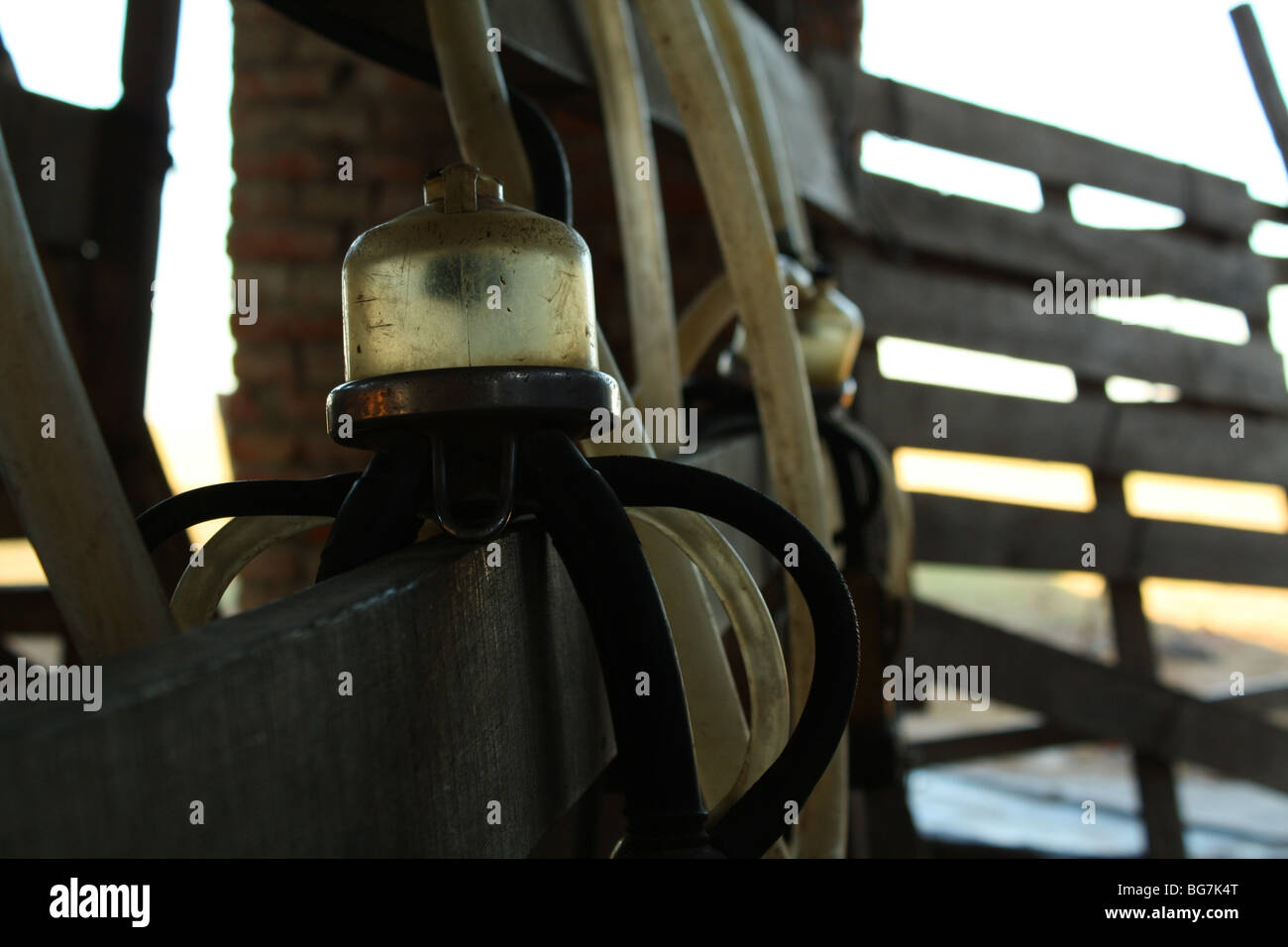 Part of the equipment of a milking machine Stock Photo Alamy