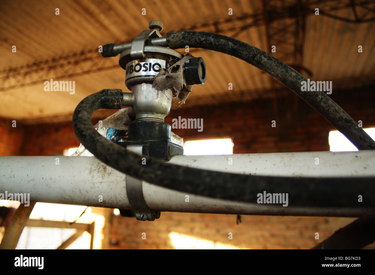 Part of the equipment of a milking machine Stock Photo Alamy