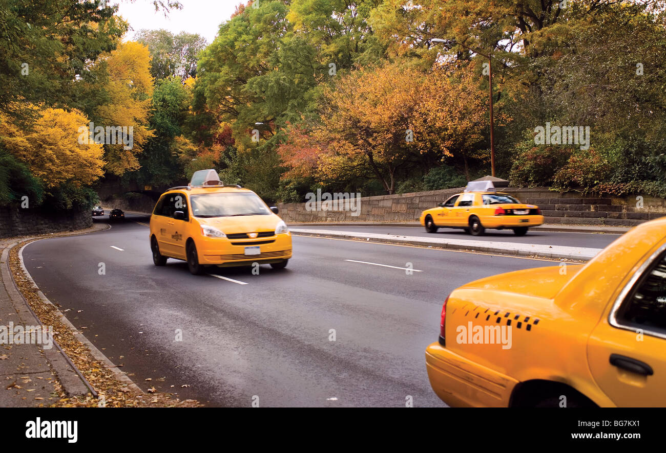 three taxis car at Central Park East, on autumn season Stock Photo