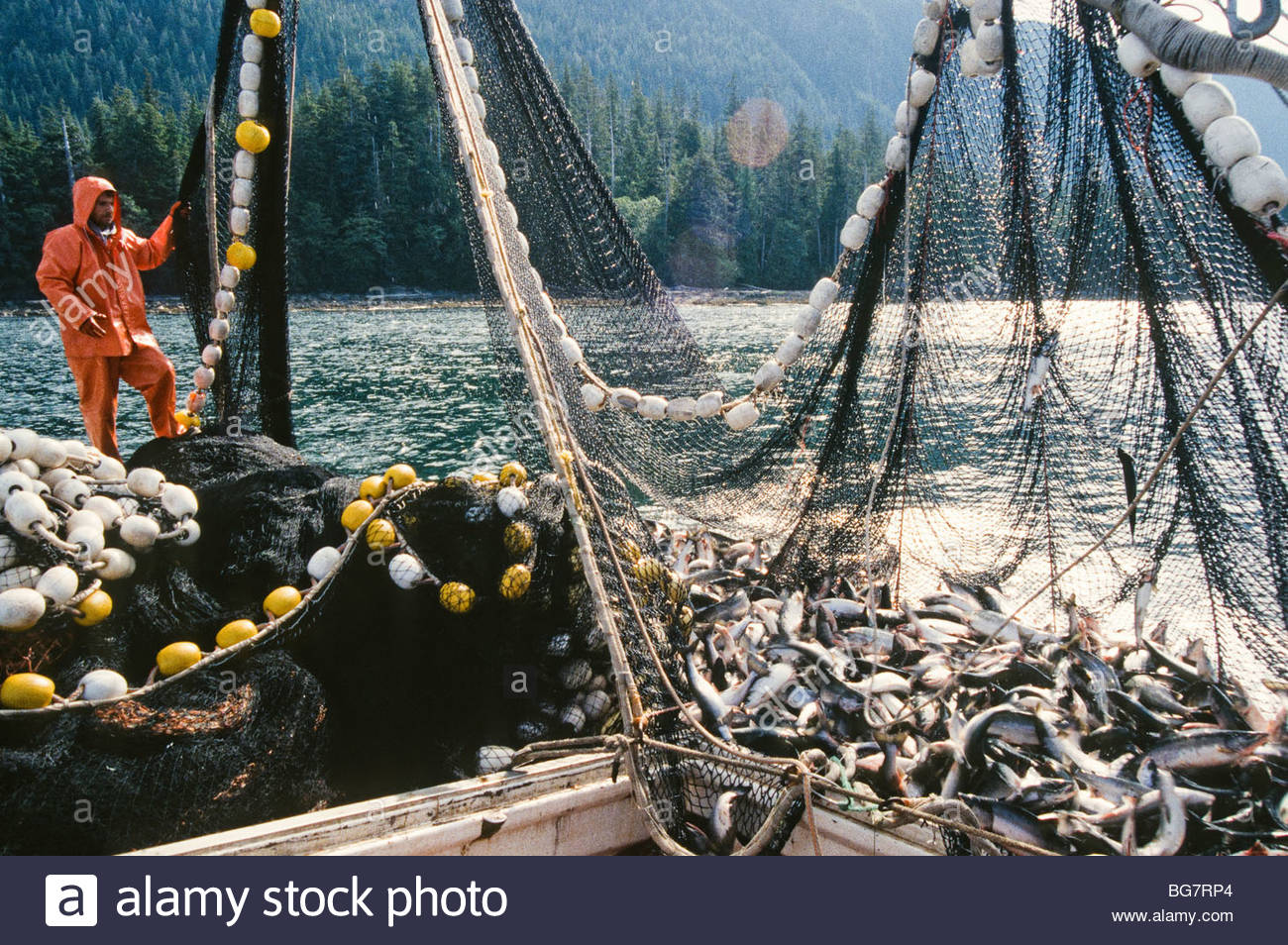 Purse Seiner Fishing Boat Stock Photos & Purse Seiner Fishing Boat