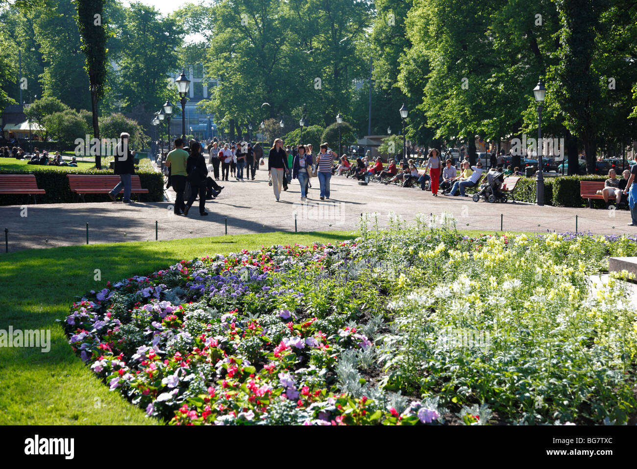 Finland, Helsinki, Helsingfors, Esplanadi Park, Esplanade Park, Gardens, Flowers Stock Photo