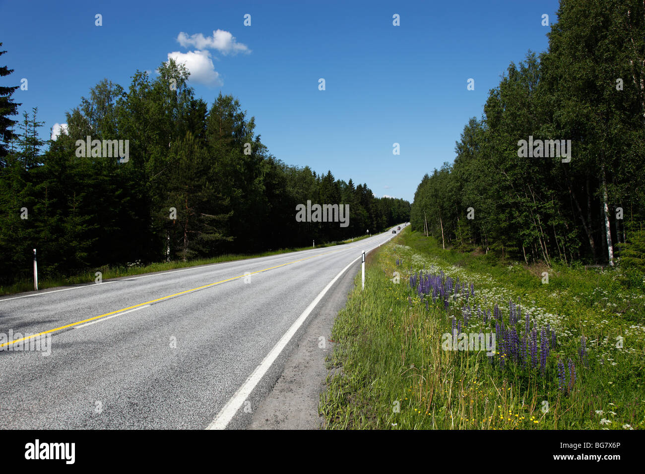 Highway 14 forest finland hi-res stock photography and images - Alamy