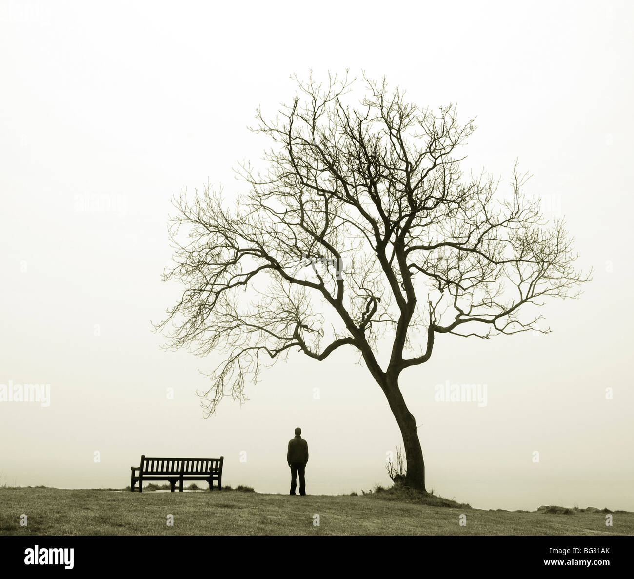 A young man standing by a bench and a tree. He is looking out to sea on a misty day. Stock Photo