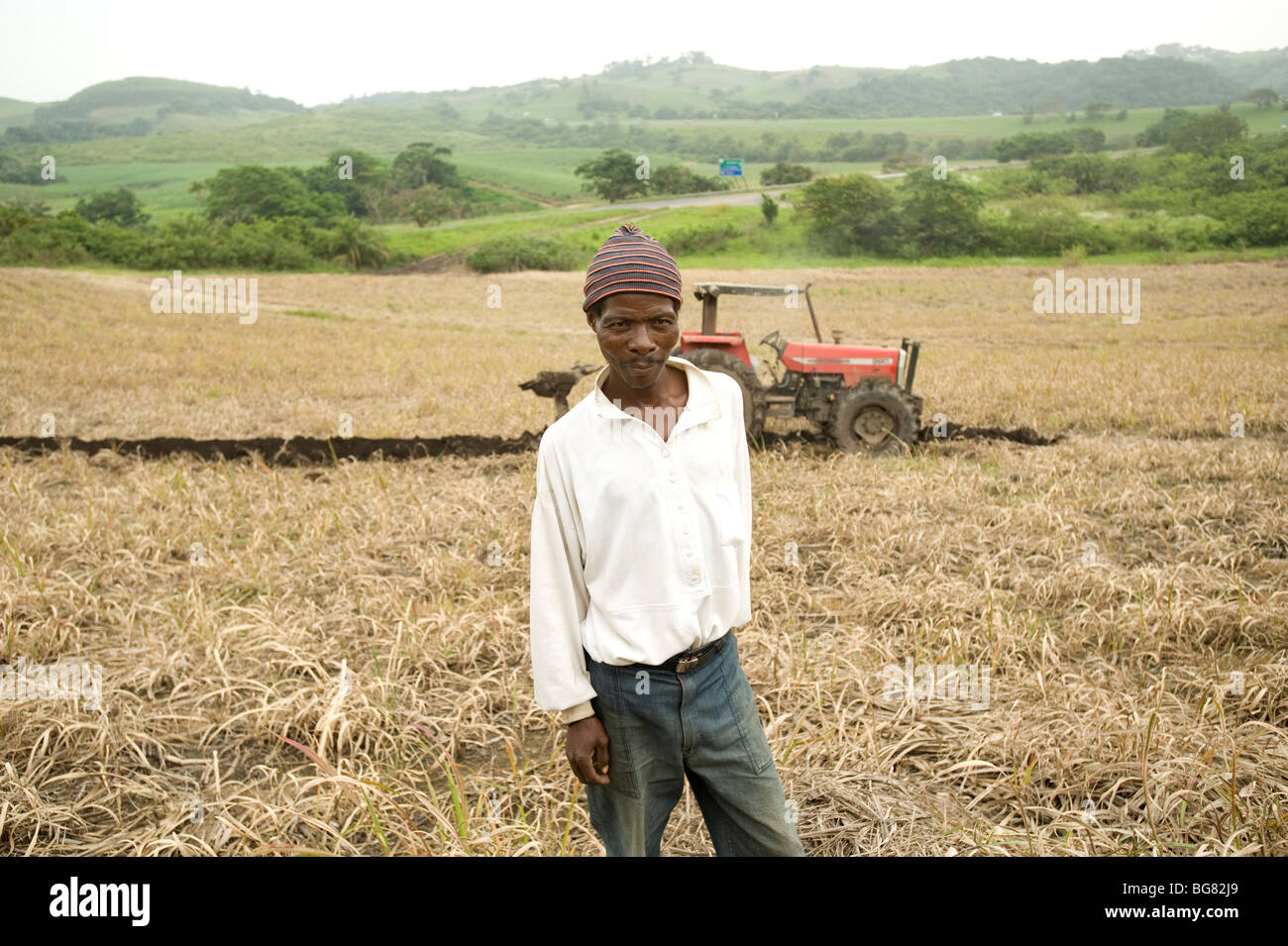 Tractor driver. Sugar cane farm. South of Durban, South Africa Stock