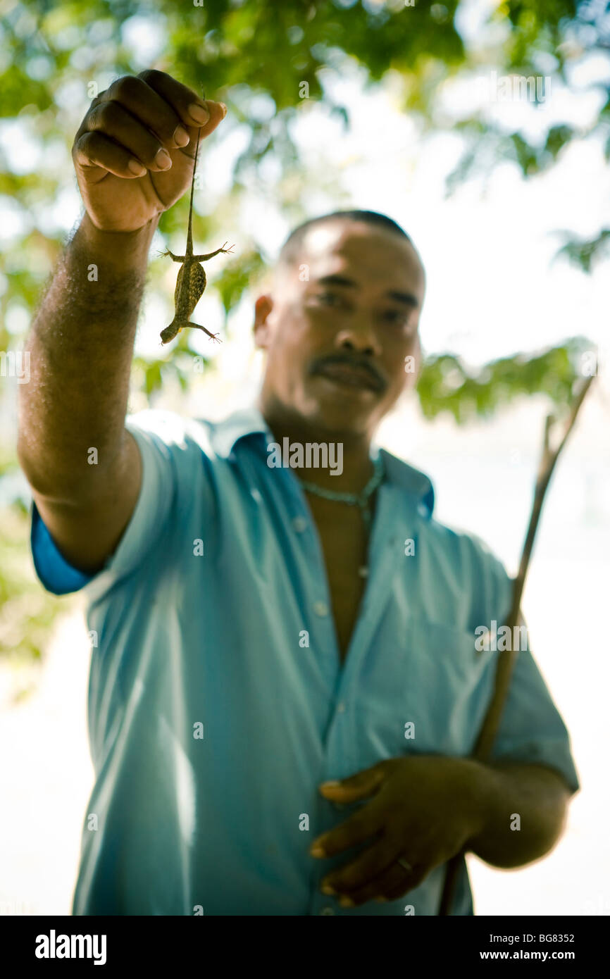 A guide holds out a flying lizard. Stock Photo