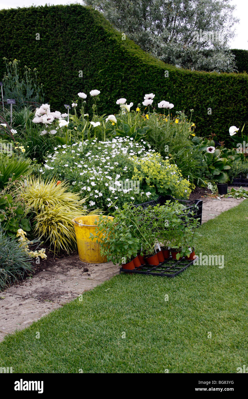 PLANTING A BORDER IN AN ENGLISH COUNTRY GARDEN Stock Photo - Alamy