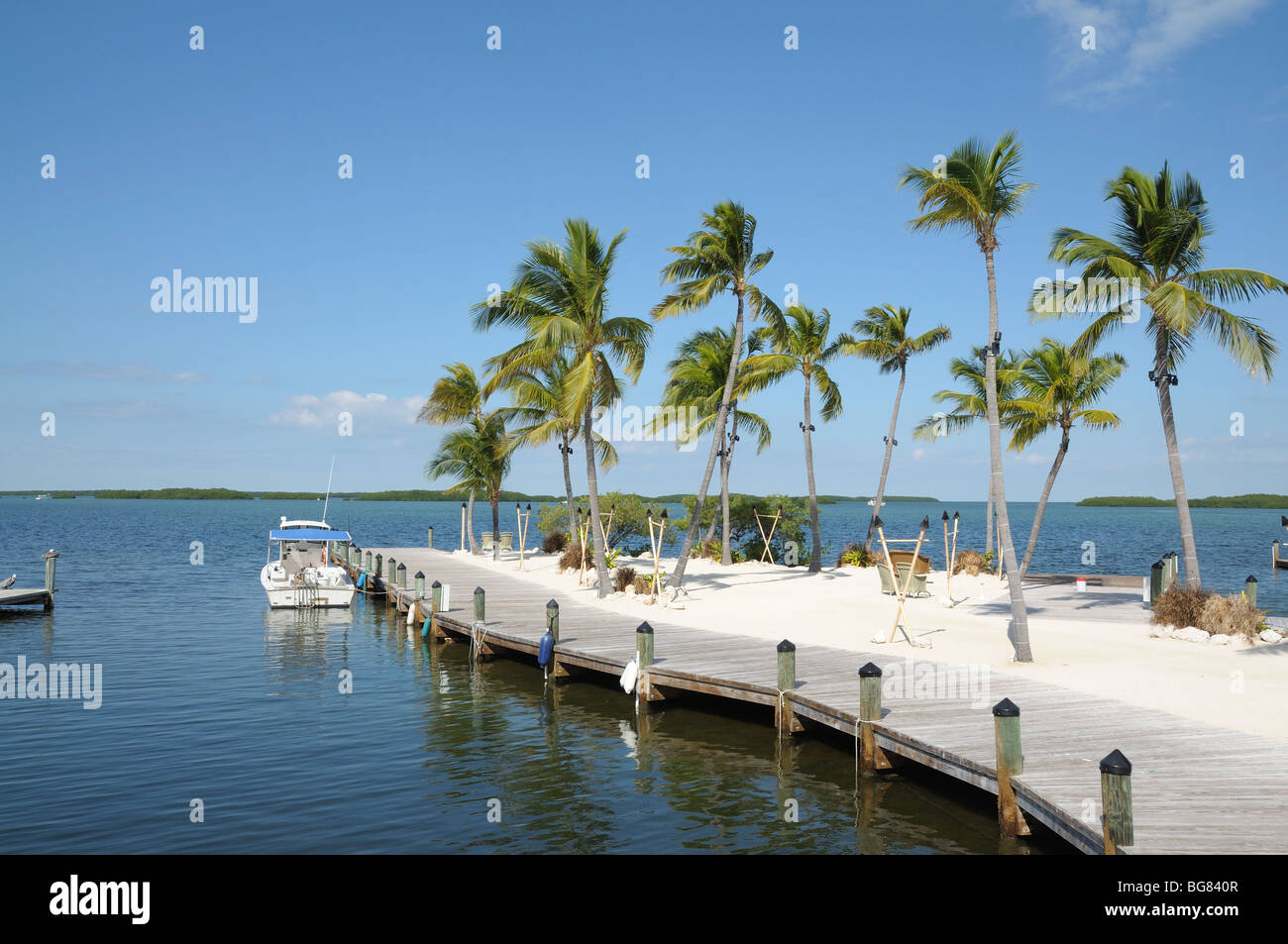 Jetty and Palm Trees on Florida Keys Stock Photo