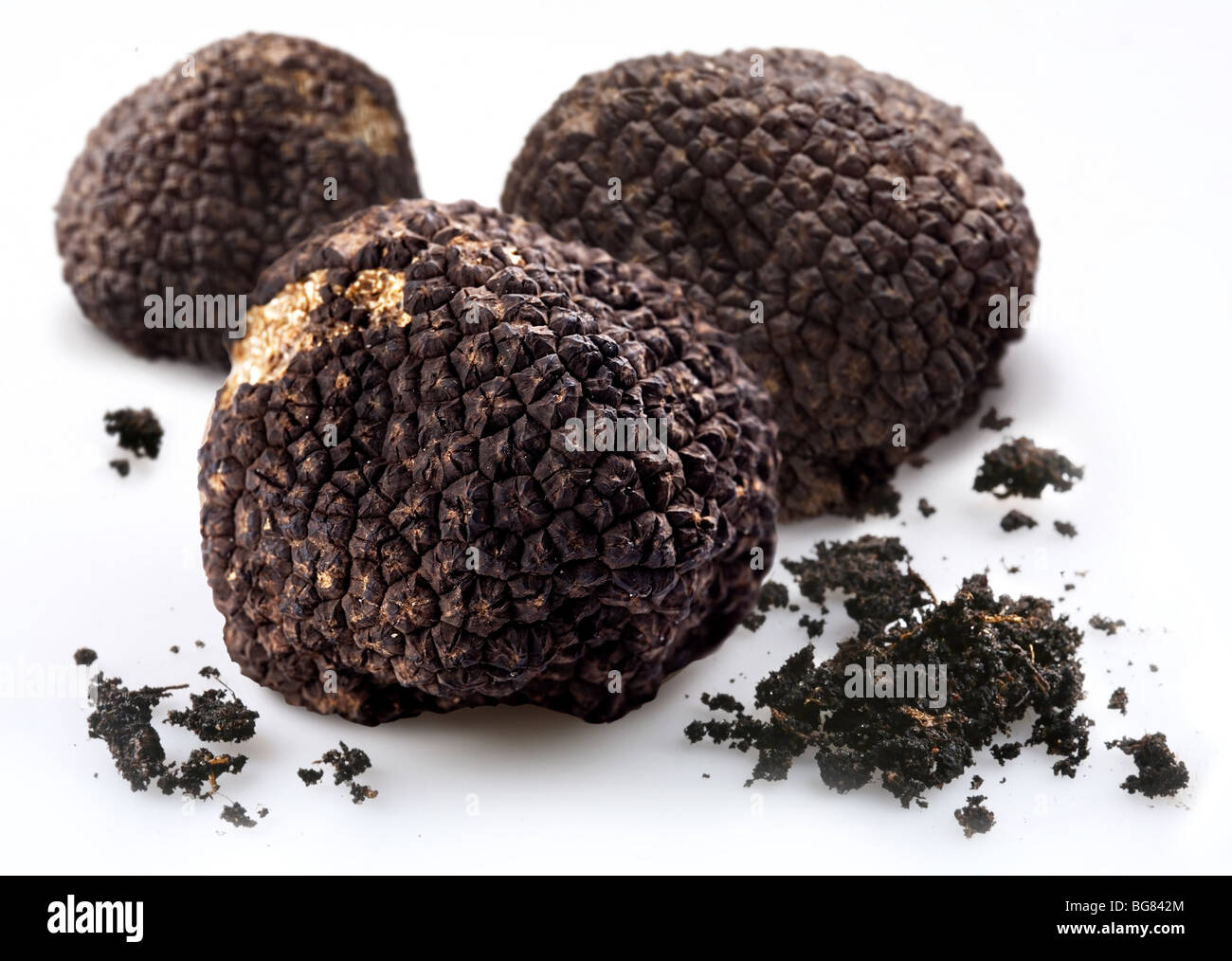 Black truffles with the pieces of soil on a white background Stock Photo