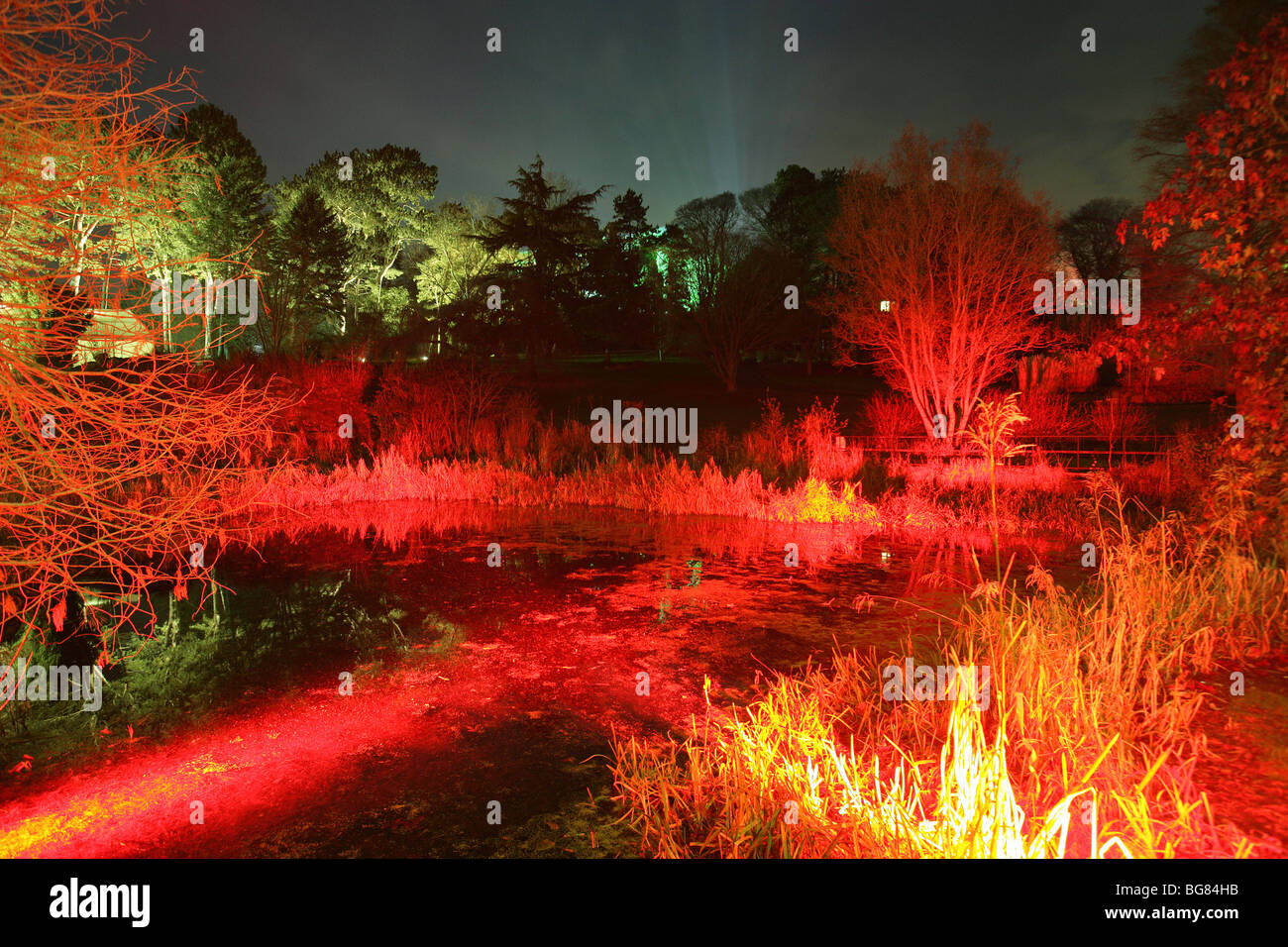 Evening floodlit view of a pond, trees and shrubbery at Ness Botanic Gardens IllumiNess event. Stock Photo