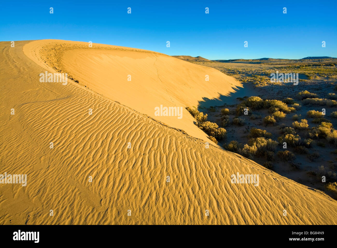 Sand Dune at Sunrise Killpecker Sand Dunes, Wyoming, USA Stock Photo - Alamy