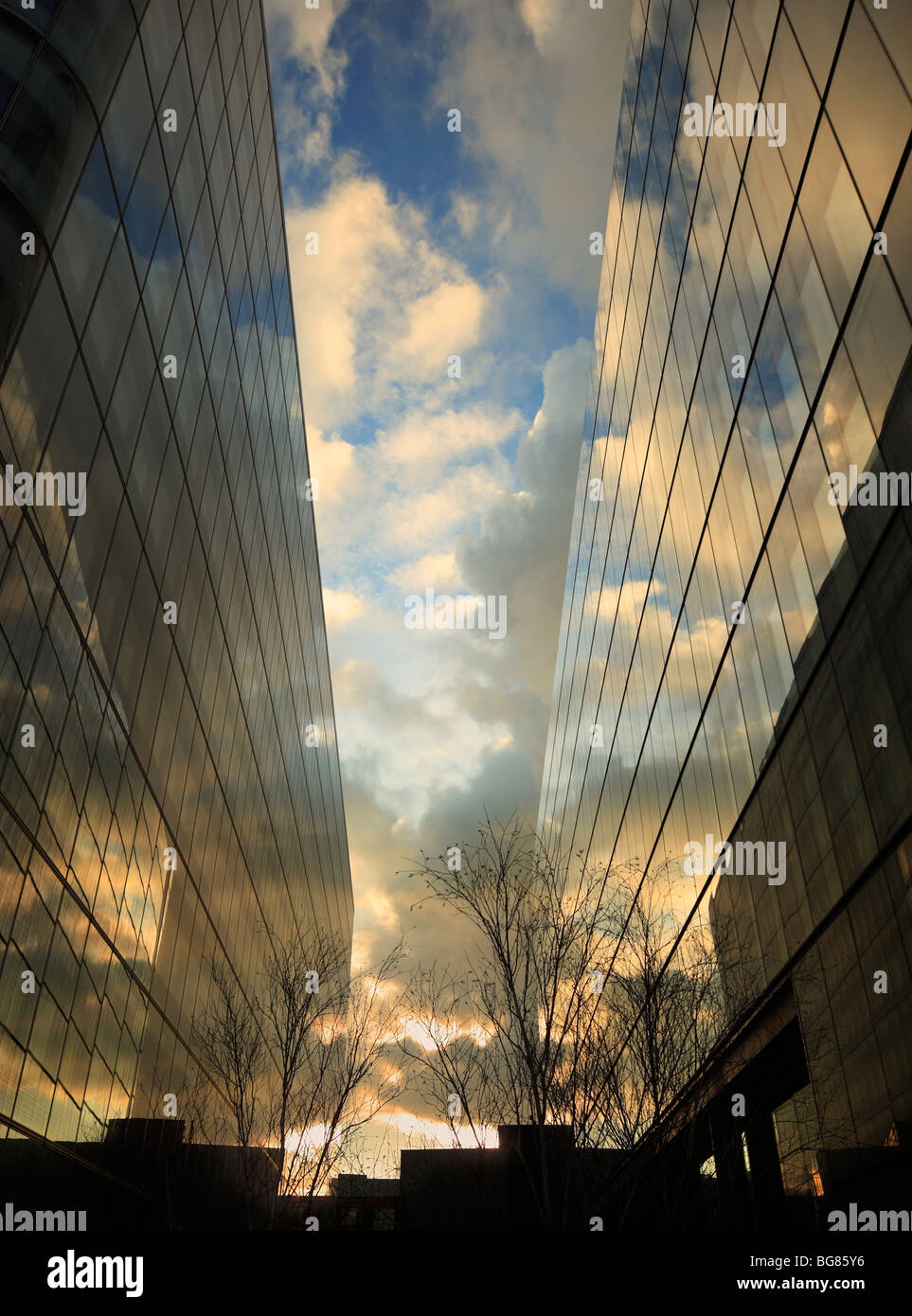 Glass buildings mirroring the sky. Stock Photo