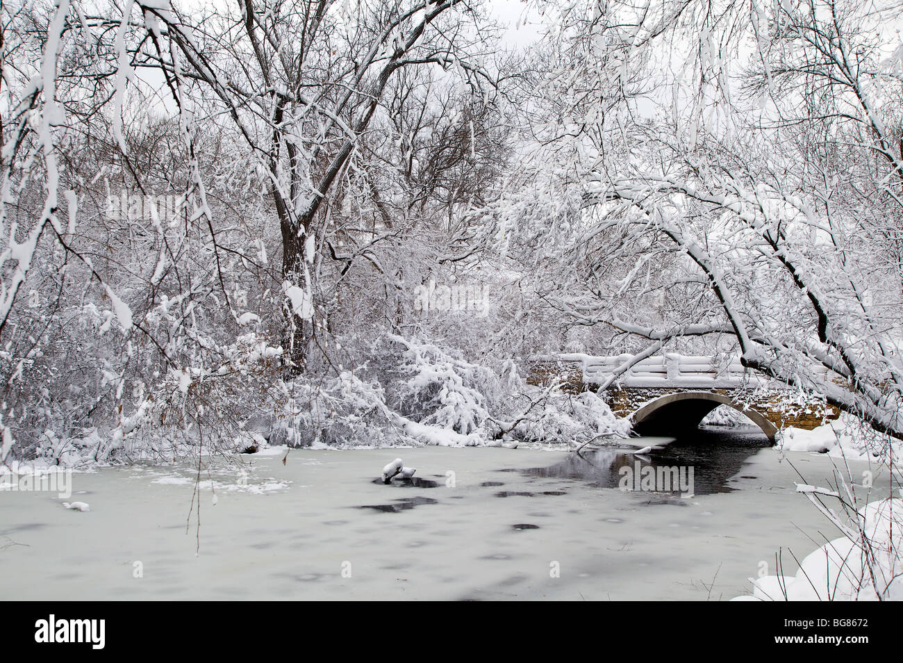 Walking By Wingra Creek In Snow >> Wisconsin Winter Trees Landscape Stock Photos Wisconsin Winter Walking By Wingra Creek In Snow >> Wisconsin Winter Trees Landscape Stock Photos Wisconsin Winter