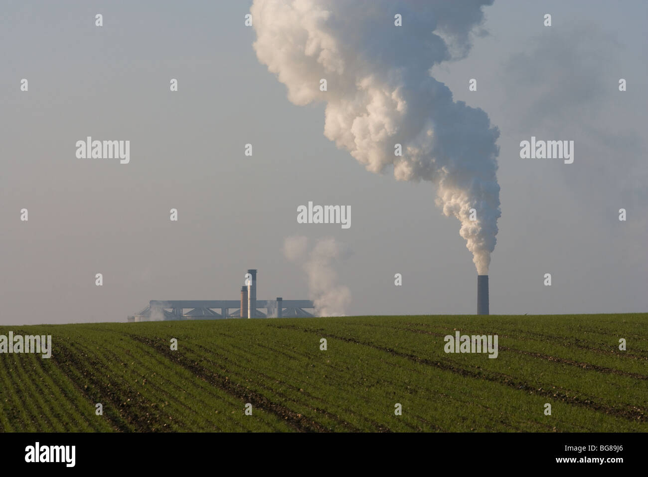 Bury St Edmunds Sugar Beet Factory,Suffolk. Stock Photo