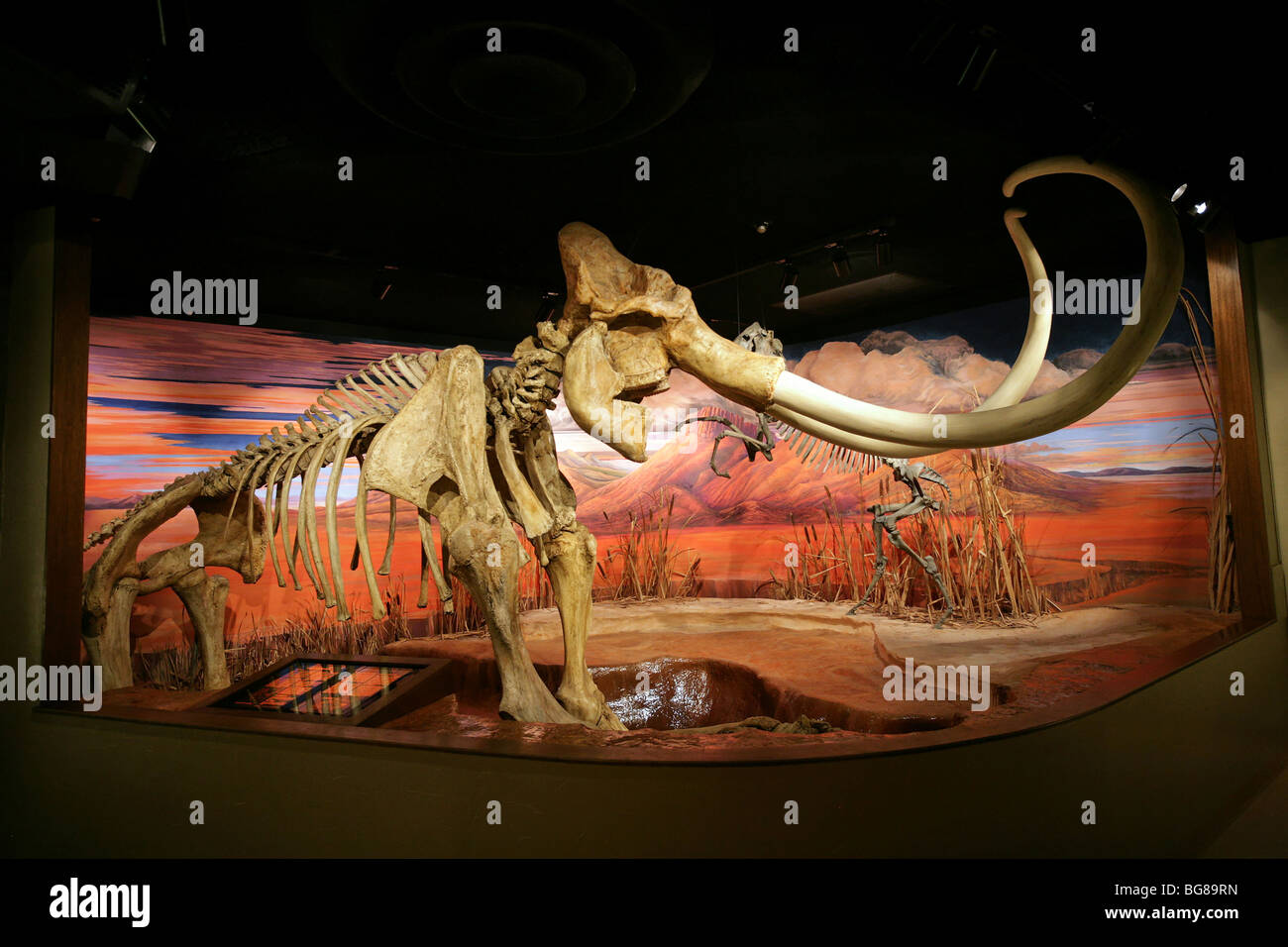 Mammoth city hires stock photography and images Alamy