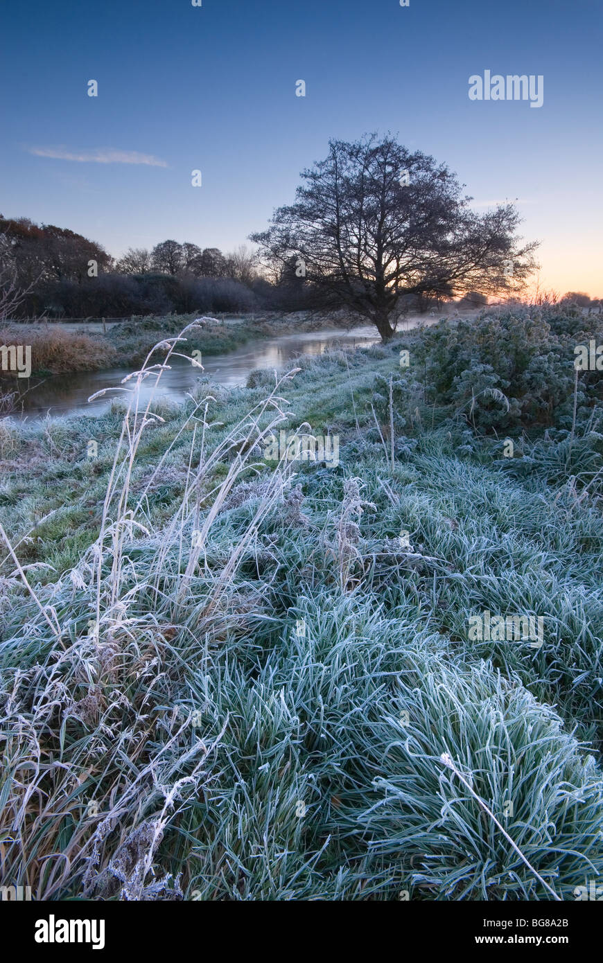 Dorset river frost hi-res stock photography and images - Alamy