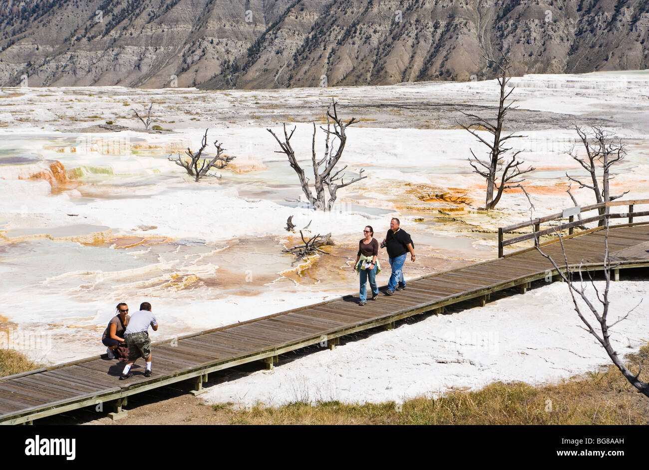 Tourists walking on the boardwalks on the main terrace of Mammoth Hot Springs, Yellowstone national Park, Wyoming, USA. Stock Photo