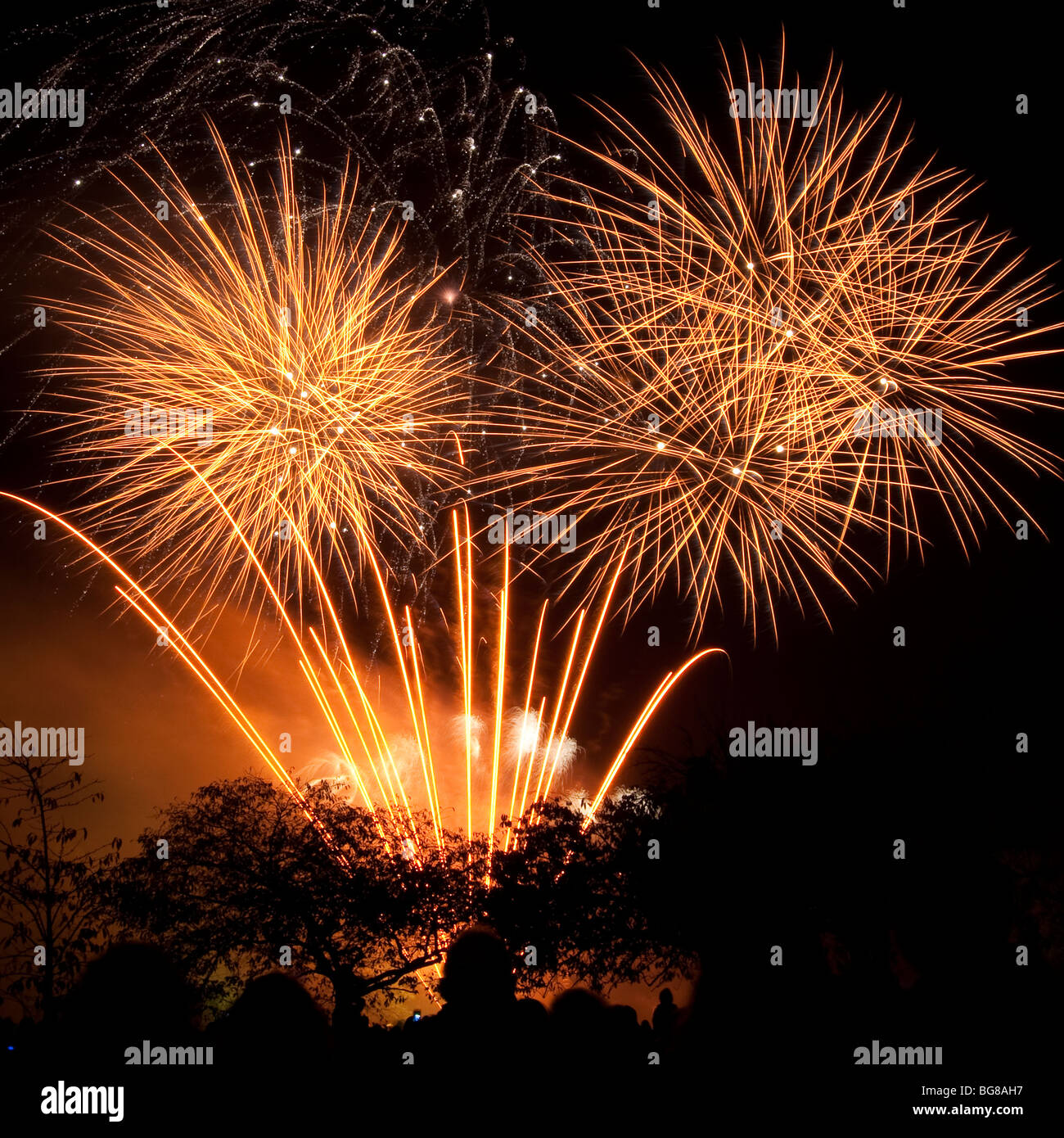 Firework Display Stock Photo