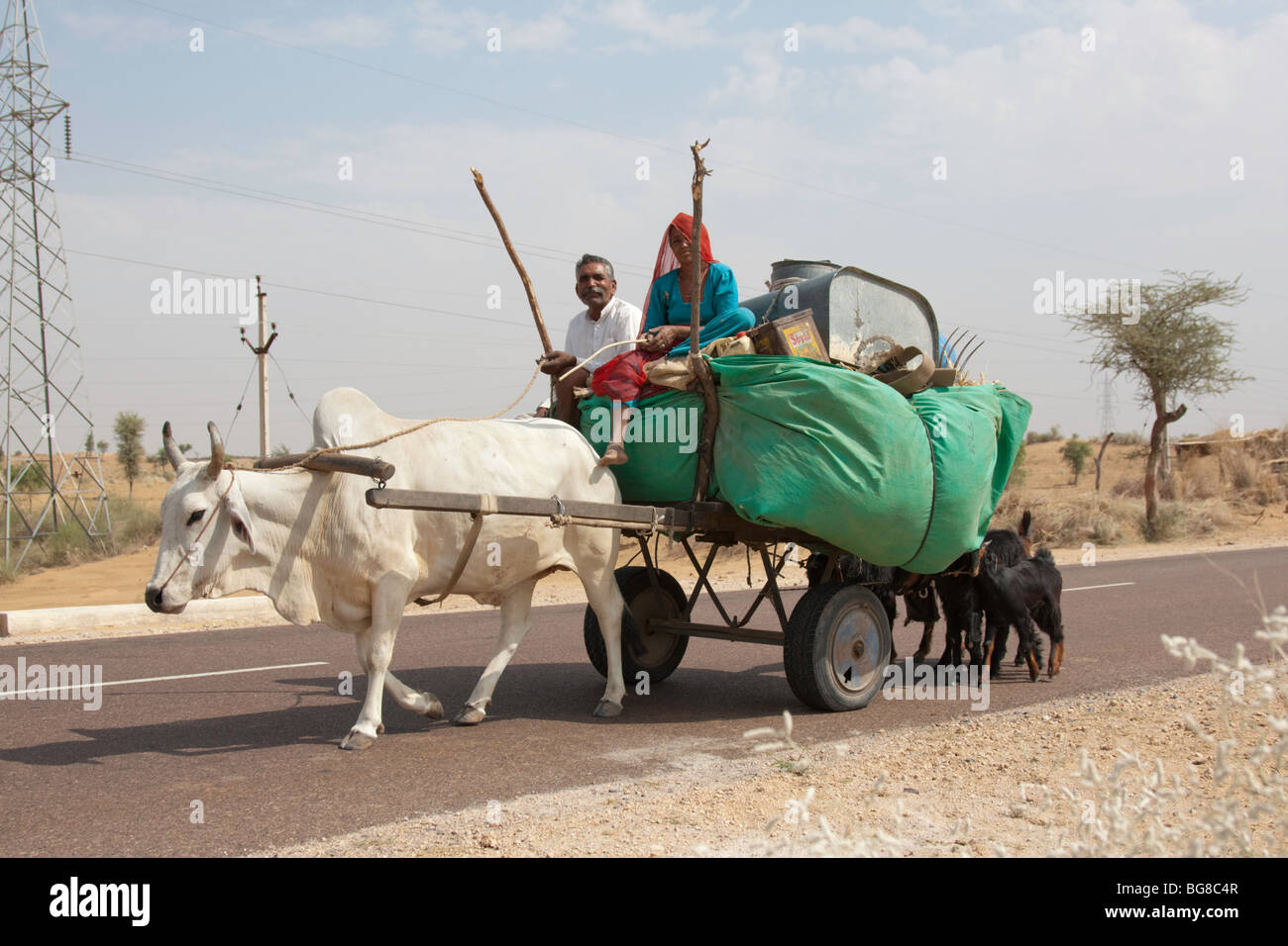 cow pulling cart in India Stock Photo - Alamy