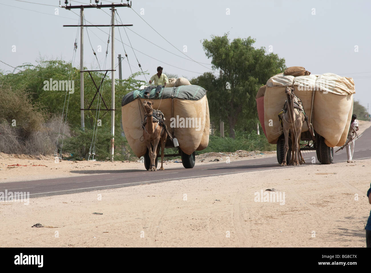 Agriculture pulling load along road working animal hires stock photography and images Alamy