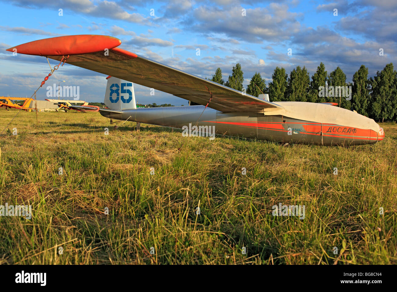 Light aircraft planes parked at a grass airfield, Russia Stock Photo