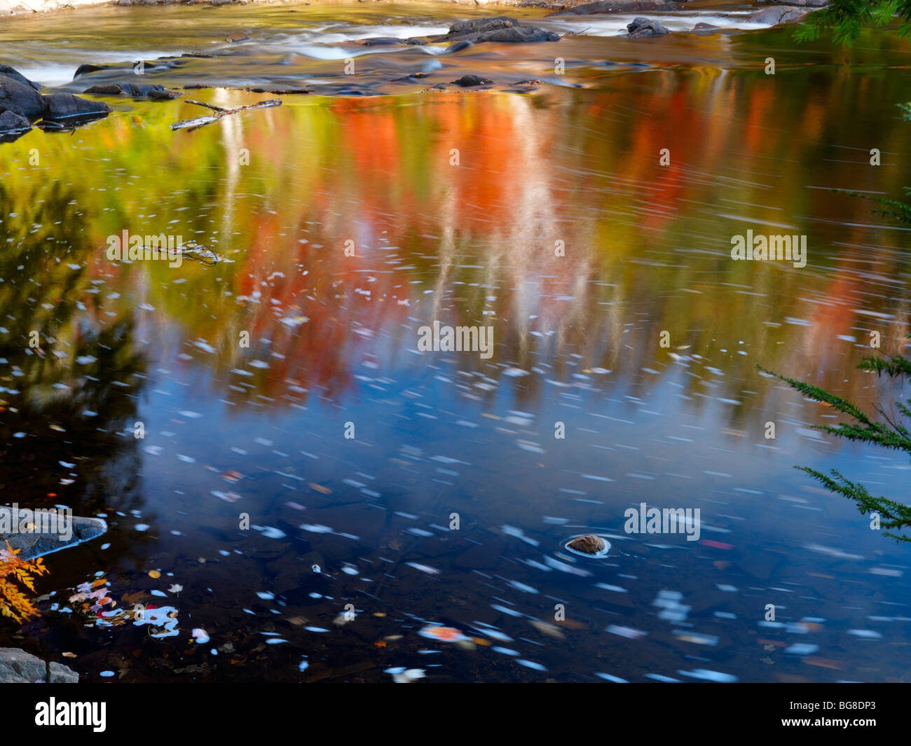 Reflection of autumn nature in a river. Muskoka, Ontario, Canada. Stock Photo