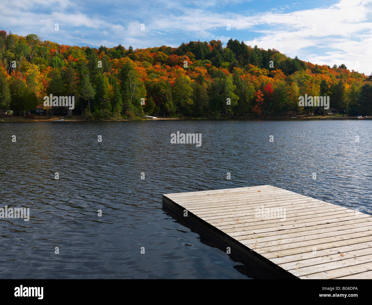 Oxtongue lake fall nature scenery. Algonquin, Muskoka, Ontario, Canada. Stock Photo