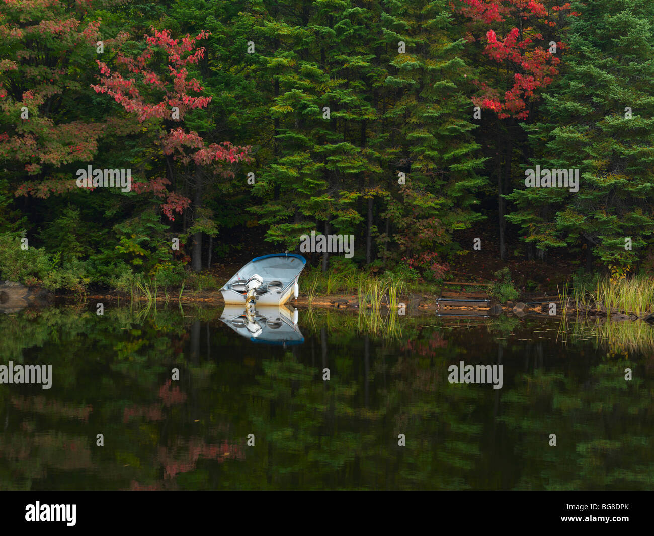 Canoe lake fall nature scenery. Algonquin Provincial Park, Ontario, Canada. Stock Photo